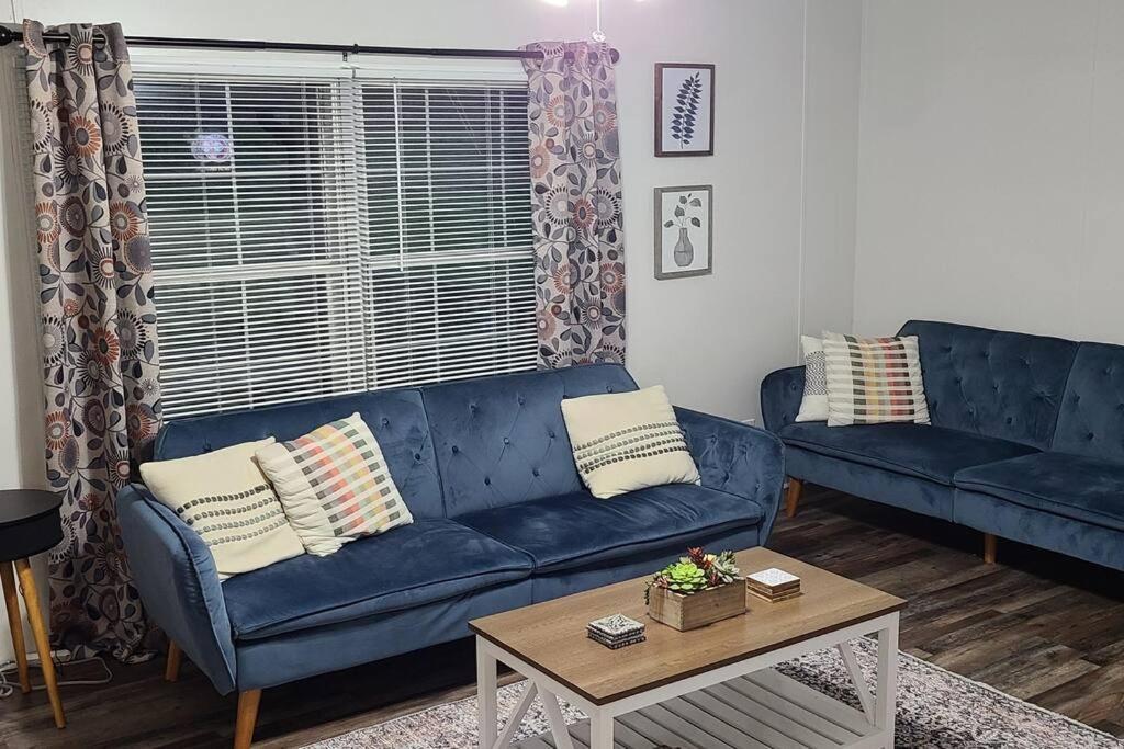 בלו רידג' Cozy Cottage With Full View Of The Mountains! מראה חיצוני תמונה